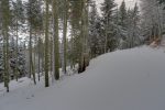 Il y a un chemin, mais je continue en hors piste à gauche.