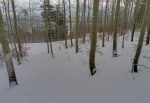 Une forêt si agréable, mais la neige devient moins bonne. Fin du hors piste.
