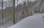 Le hors piste devient trop compliqué, donc je longe cette route forestière (Taillée du Maréchal).