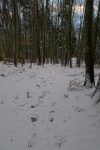 On enlève les raquettes, il n'y a plus assez de neige