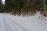 Très vite on quitte la route pour le chemin d'été