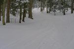 Quelques restes du chemin d'été