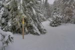 Encore des traces du chemin d'été.