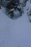 Ce passage sous l'arbre, je l'évite car raide