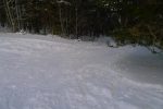 Bref traversée de forêt