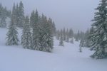 Descente agréable dans le pâturage du Chalet Neuf du Mont-Tendre