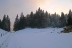 Le givre blanchit les arbres