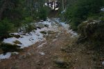 Nous montons la dernière pente avant le plateau de l'Arpille, la descente se fera au mieux dans la forêt clairsemée à droite