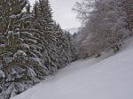 Je m'enfonce dans cette clairière qui me tend les bras ... enfin les spatules.