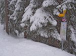 Cette fois-ci j'emprunte la piste de raquette ratée à la montée. Descente étroite donc pas terrible