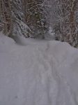 Sous le chalet du Pt1271, sur le I de Ravoire, j'emprunte le chemin d'été ... étroit lui aussi