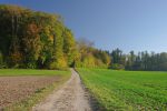 On rentre dans la forêt, en face de la ferme Beau-Soleil