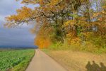 Quelques restes des couleurs d'automne