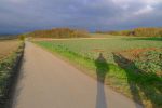Zone agricole