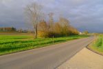 On serre les fesses et longeons la route principale