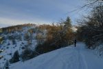 Le chemin forestier, la vue se dégage sur les pistes du Schnepfenried au fond