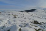 Au niveau des maisons, nous bifurquerons à gauche pour monter au Grothkopf