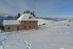 Le sommet du Grothkopf (1140m) est vers ce bosquet