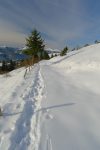 Vue arrière sur le Grothkopf et au fond le Schnepfenried et le Hohneck