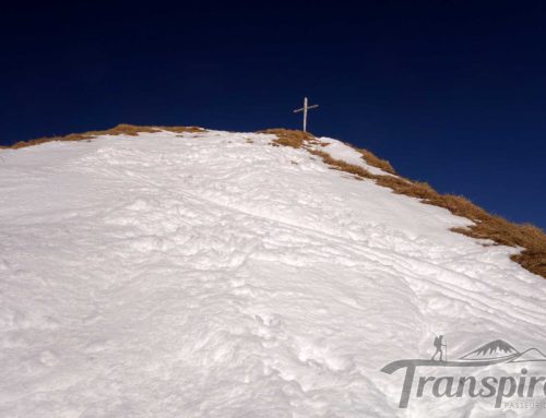 Pourquoi le ciel est bleu ?