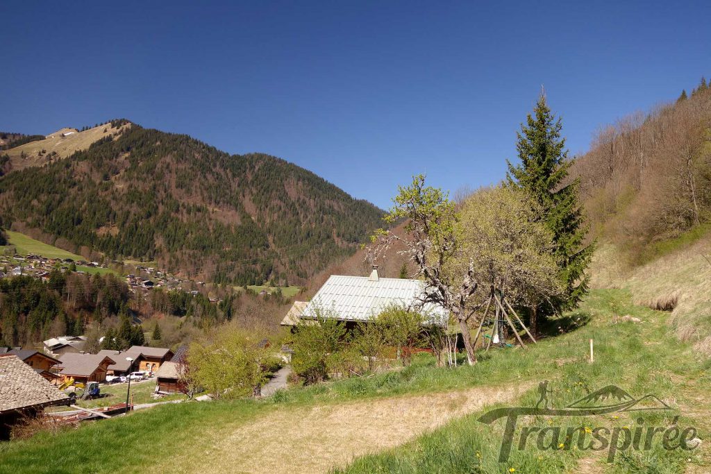 Randonnée à la Pointe de Nantaux depuis Montriond Transpiree