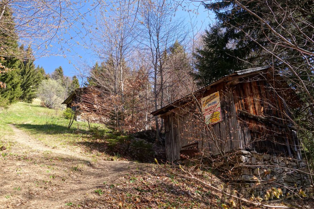 Randonnée à la Pointe de Nantaux depuis Montriond Transpiree