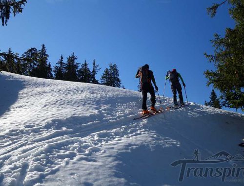 Techniques de progression en montée pour le ski de randonnée