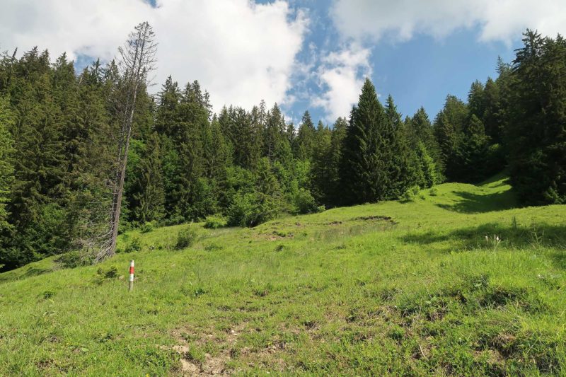 Randonnée au Stockorn depuis Weissenburgberg et Oberstockesee – Transpiree
