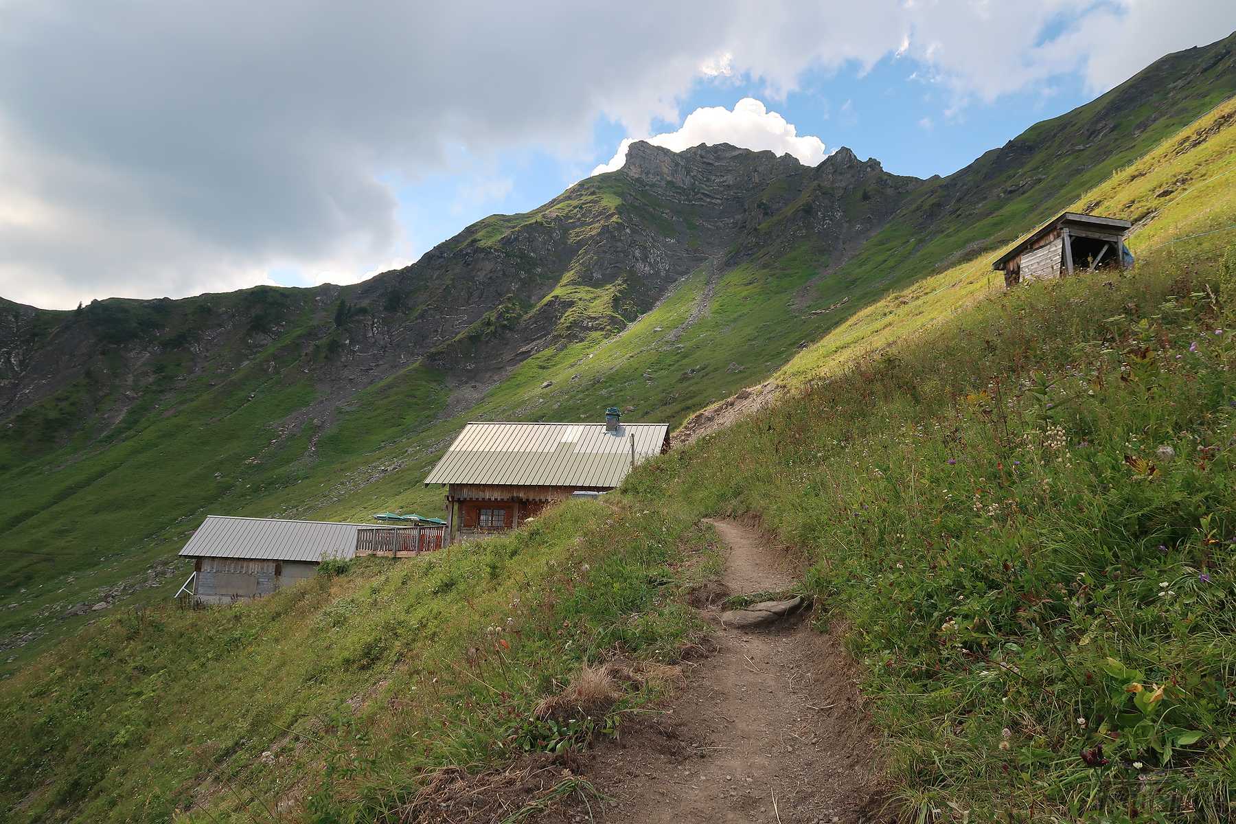 Randonnée aux chalets de Tréblentaz depuis le Plan des Feux. Retour par les Chalets de la Torrens