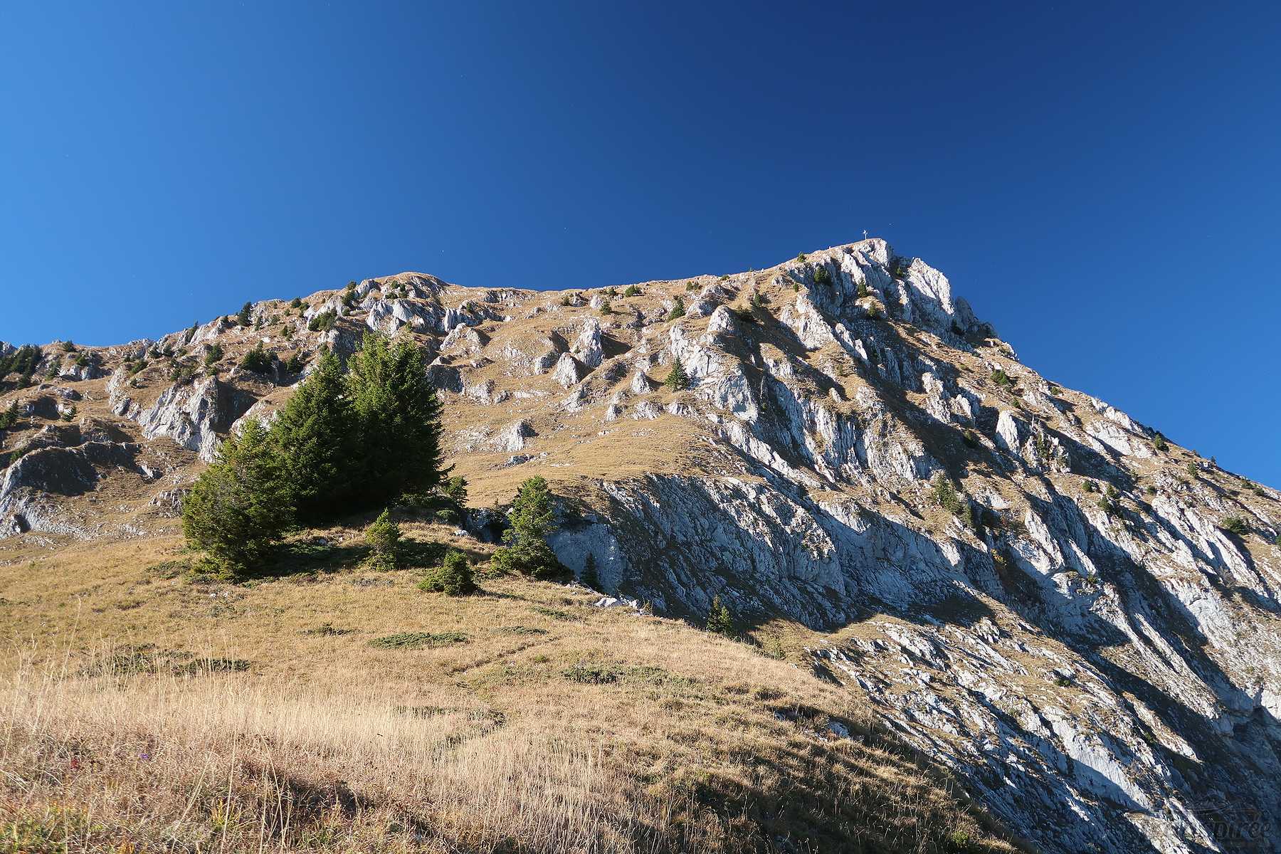 Randonnée au Chörblispitz depuis Jaun et Chörbli