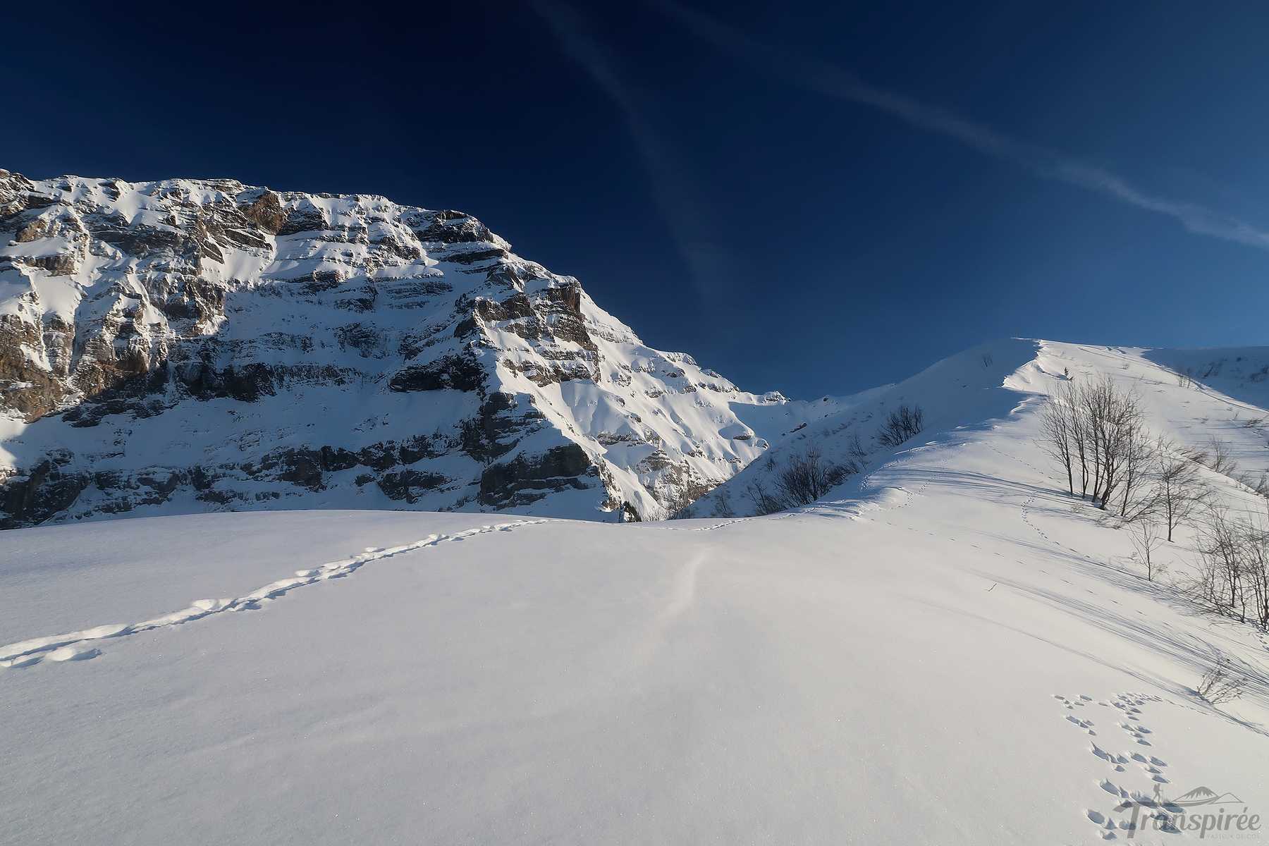 Ski de randonnée à la Pointe d’Arpille depuis les Diablerets