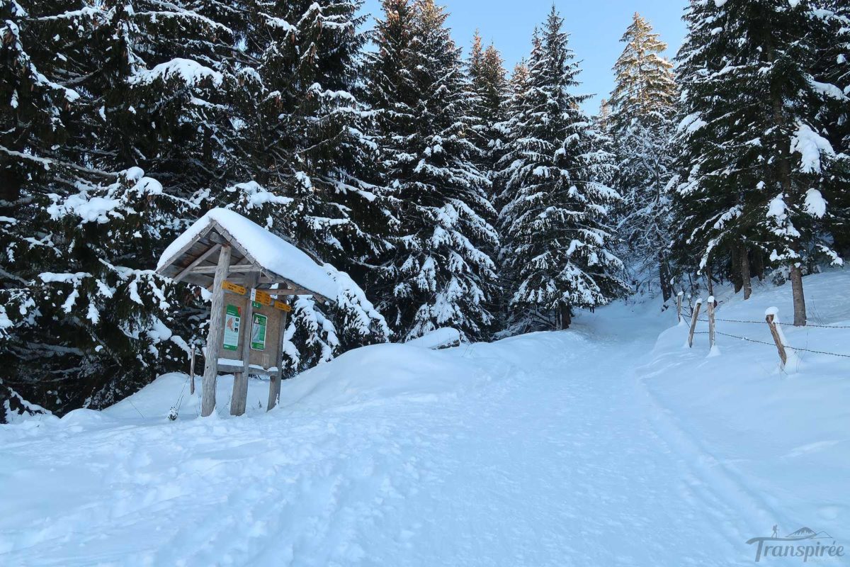 Randonnée en raquettes au Mont Sâla depuis Bois d’Amont Transpiree