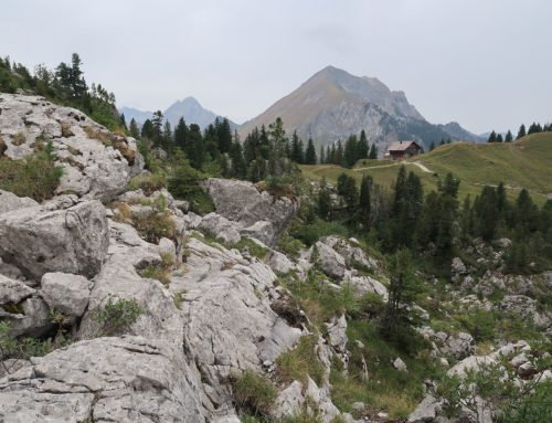 Randonnée à l’Oberbergpass depuis le Chalet du Soldat