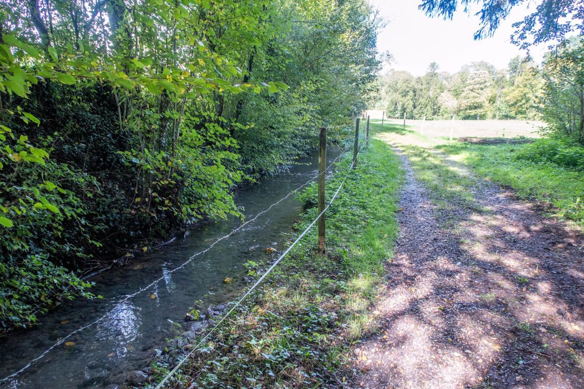 Randonnée à la Tine de Conflens depuis Dizy Transpiree