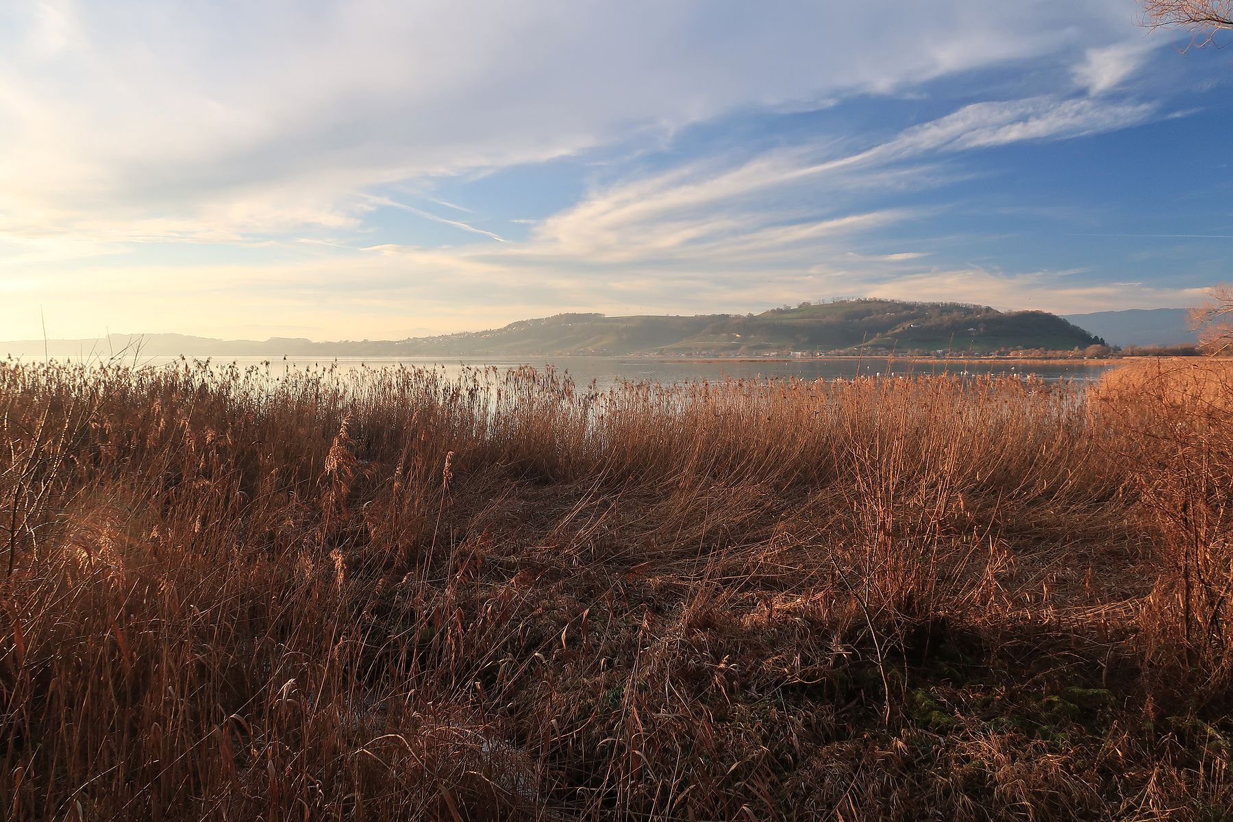 Randonnée autour du lac de Morat et Mont Vully