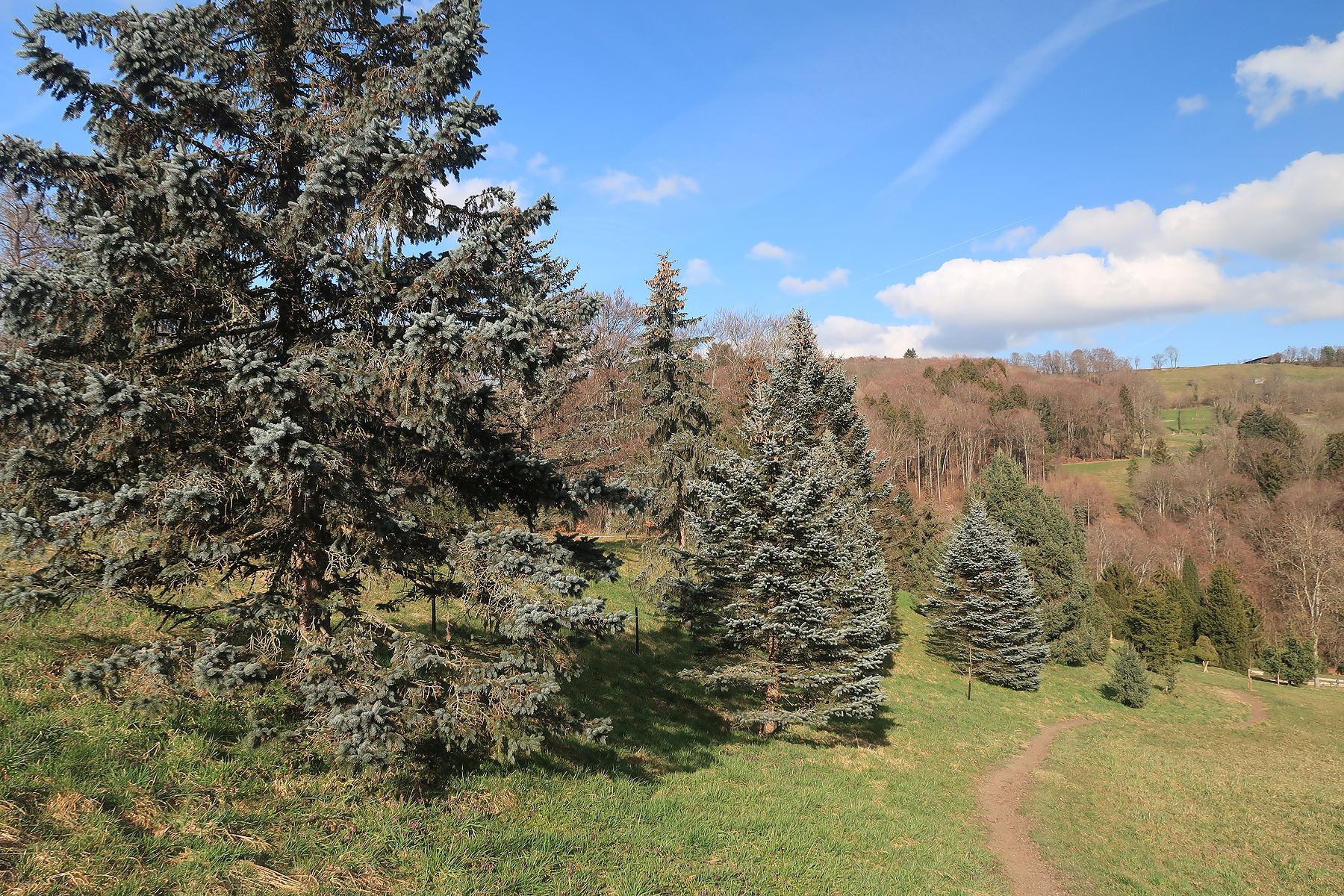 Randonnée à l’Arboretum depuis Aubonne et son vallon