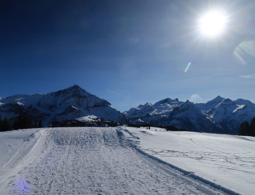 Randonnée au Höji Wispile depuis Feutersoey
