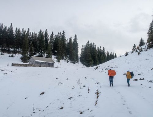 Randonnée à la cabane des électriciens depuis Bois d’Amont et Creux à la Neige
