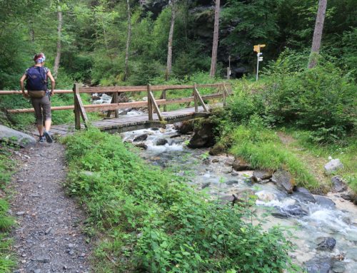 Randonnée au bisse de Vercorin et vallon de Réchy