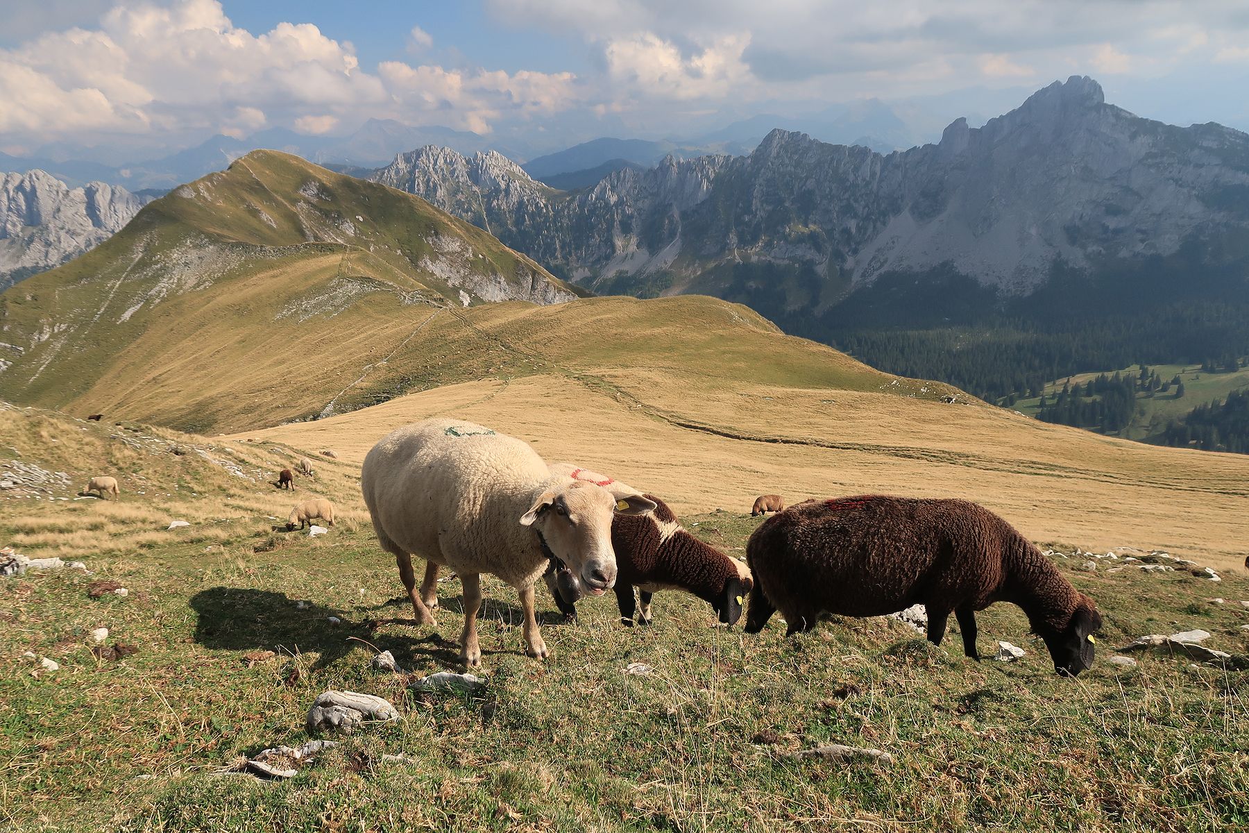 Randonnée au Hochmatt depuis Gros Mont