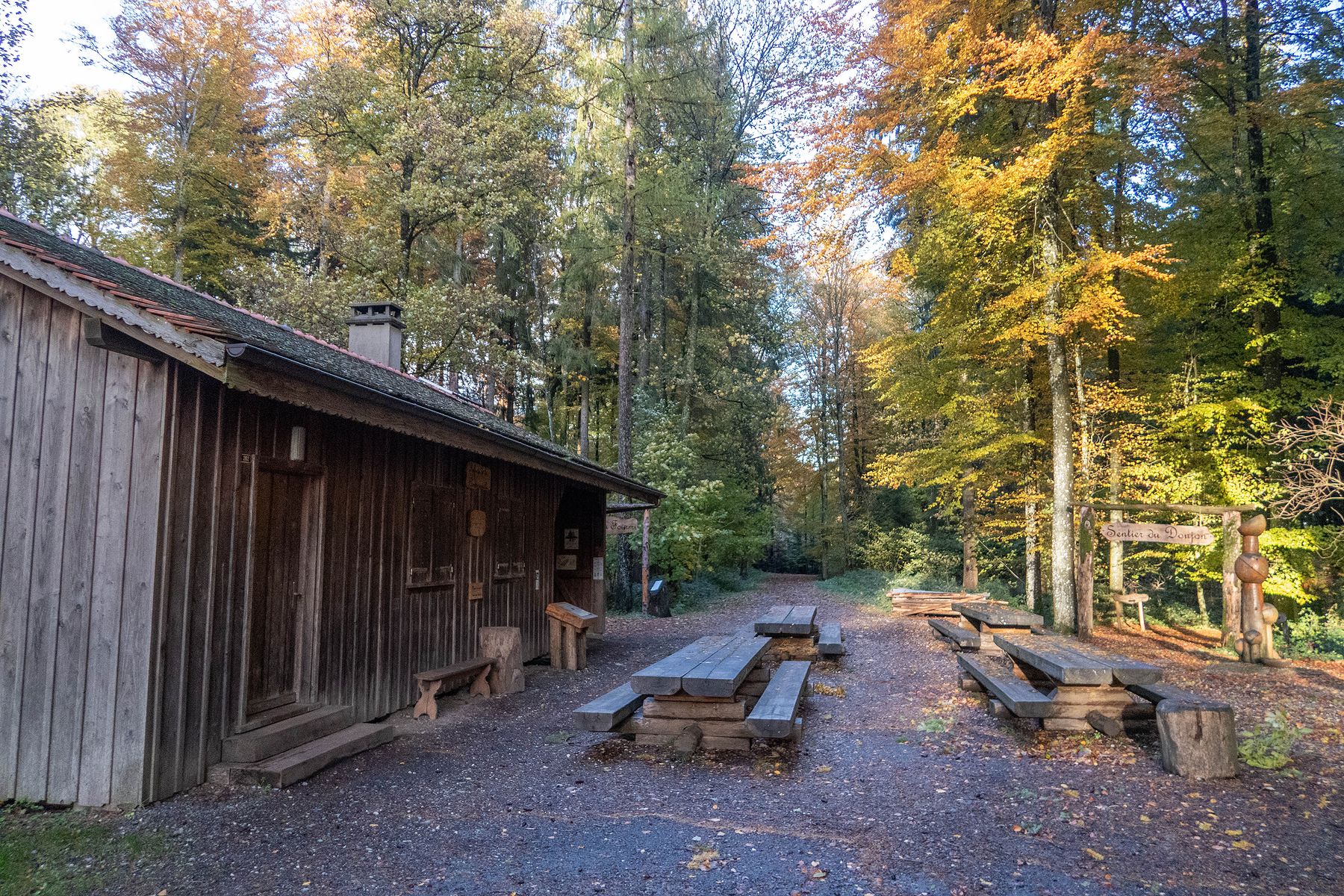 Randonnée dans le Bois du Brigand depuis Thierrens