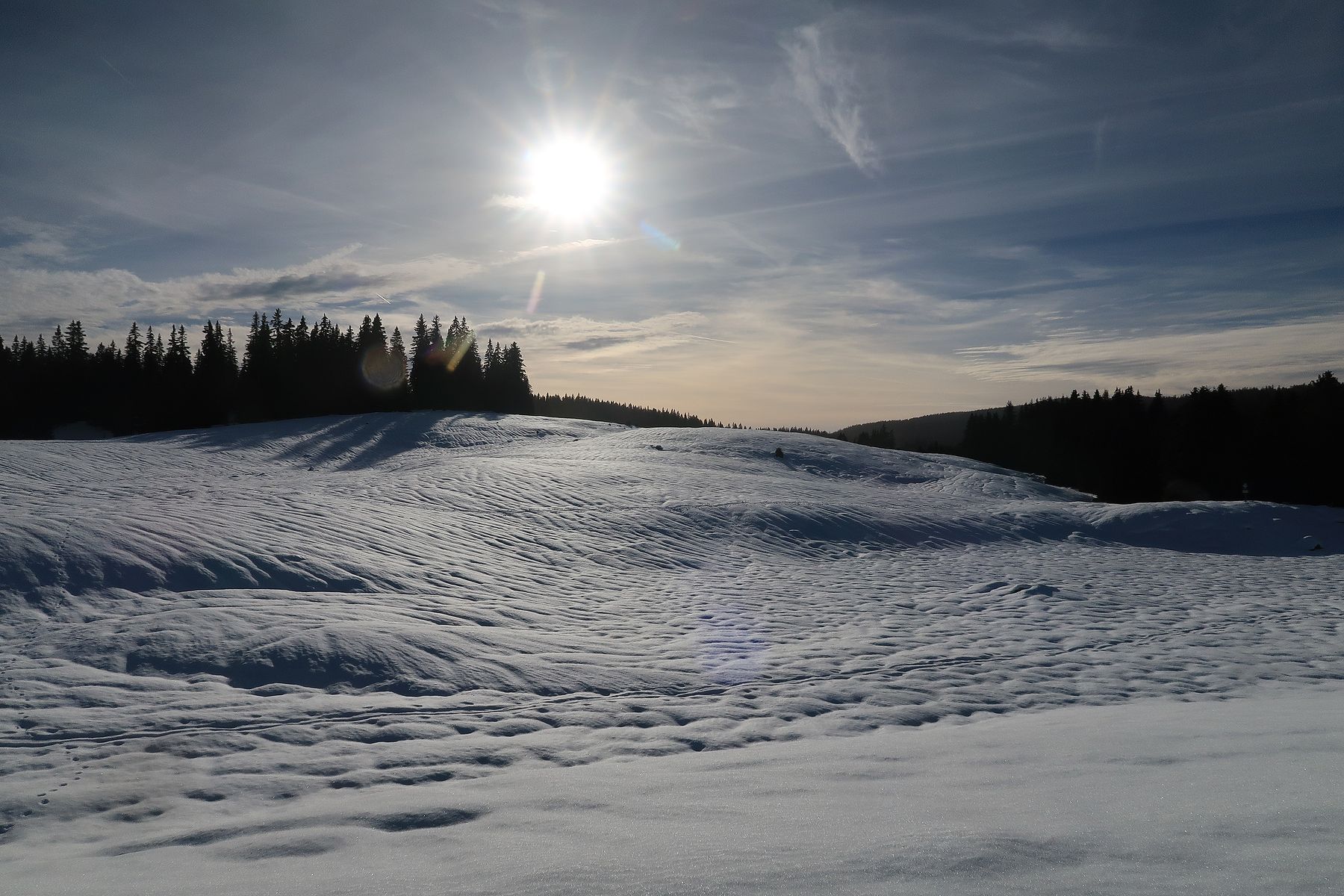 Randonnée en raquettes du col du Mollendruz ou Couvert de la Sèche de Gimel