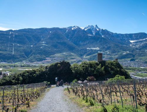 Randonnée autour de Saillon, sa tour et vigne à Farinet