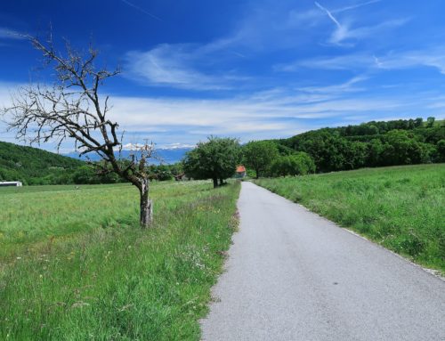 Randonnée de Longirod à Saint-George