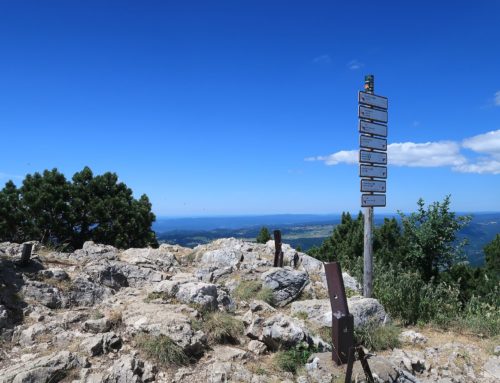Randonnée au Crêt de la Neige depuis le Crozet. Retour par Curson