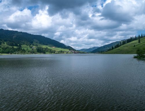 Randonnée autour du lac noir