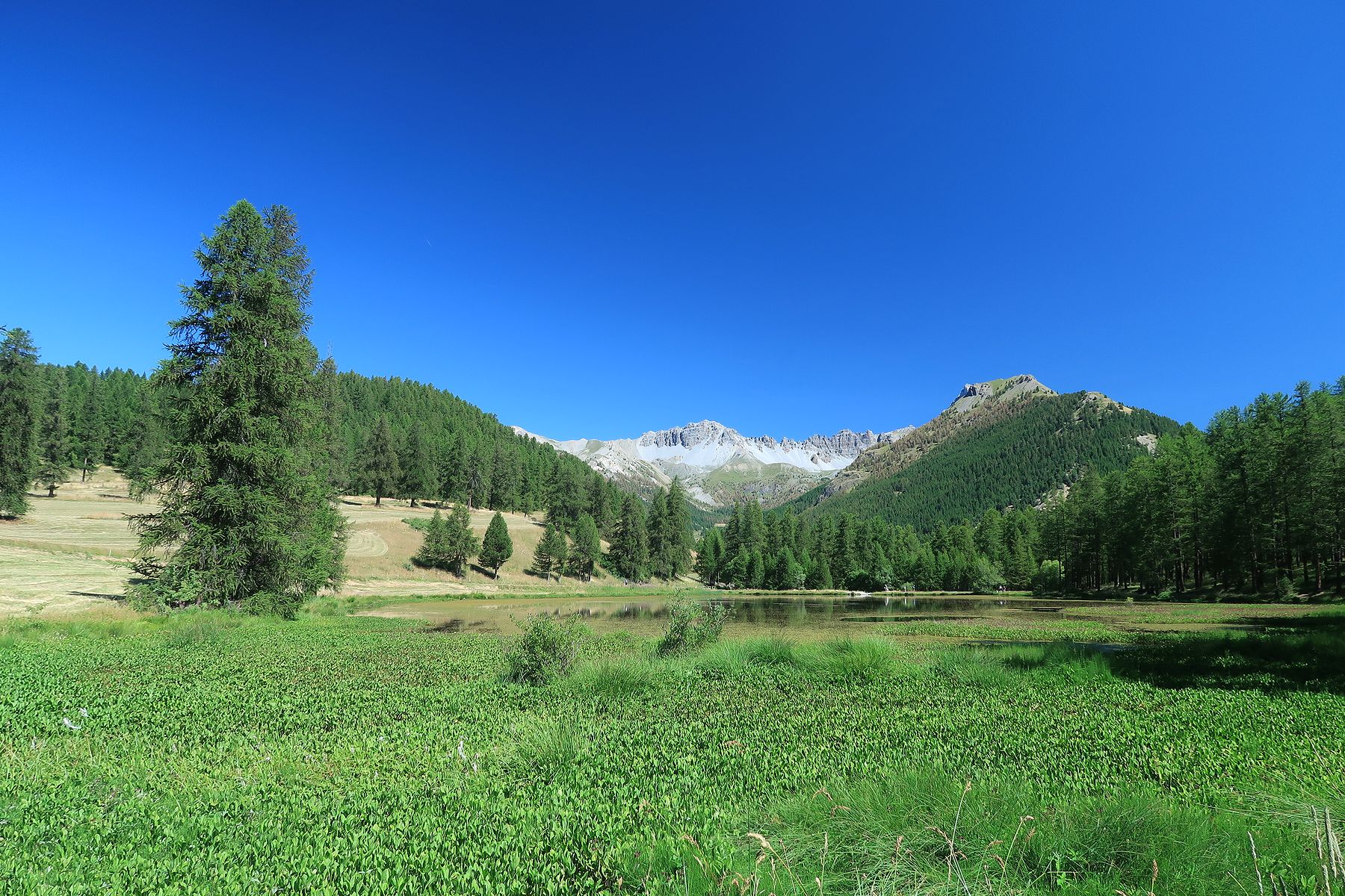 Randonnée au lac de Roue depuis Château Queyras