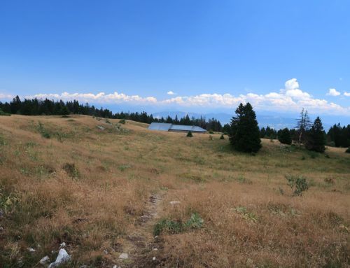 Randonnée au chalet du Gralet  depuis Péron