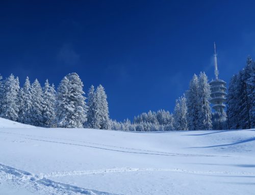Randonnée au Gibliux depuis Mont Gibloux
