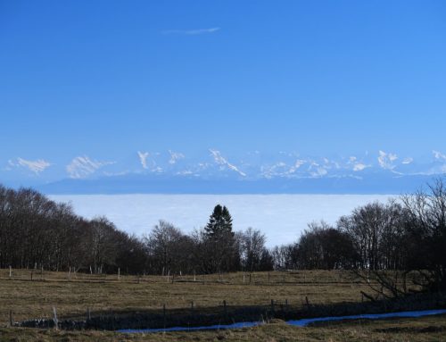 Randonnée aux Prés Rougemont depuis Provence